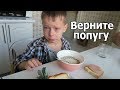 VLOG: Клим скучает по попуге / Мои лайфхаки / Видео Байга