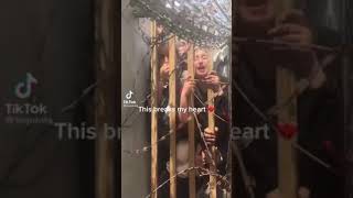 Afghanistan Girl Begging For Help Tiktok