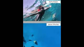 Iphone 11 Pro Max vs GoPro 6 black под водой