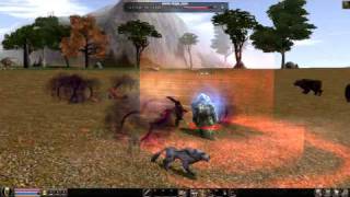 Magias Ninjas [Metin2] screenshot 2
