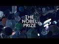 Stockholm design lab creates timeless visual identity for nobel prize