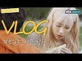 [골라봐야지]민낯도 예쁜 탱구(TAE YEON) VLOG 적 모먼트가 자꾸만 생각나 #비긴어게인3 #JTBC봐야지