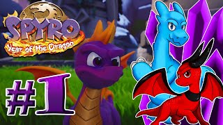 The Adventure Continues Again! | Spyro the Dragon 3 #1 | Playing With Dragons