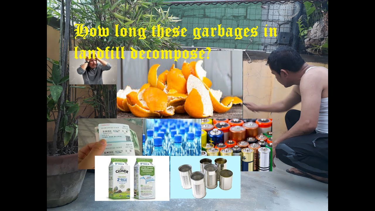 The decomposition of Garbage … How long it take. - YouTube
