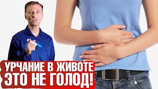 Вздутие живота и метеоризм: почему урчит в животе и что делать🥺 СИБР