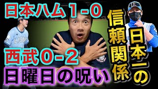 【超貴重】SYSTM ミニツイン5.0 『stab注目シェイパー5人中の1人』 JOREST独身精密ドライバー，P5/Y00/Y1/T5/T6/T8/T9/T15トルクス