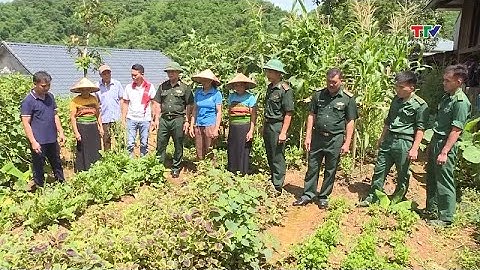 Bộ đội Biên phòng - Điểm tựa vững vàng nơi biên cương| NSTH