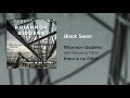 Rhiannon Giddens Black Swan Official Audio Rhiannon Giddens Black Swan Official Audio