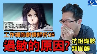 過敏為何發生「類固醇」的爭議是什麼|『工作細胞』05劇情&彩蛋解析 | はたらく細胞 | Cells At Work!