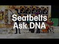 Seatbelts - Ask DNA (with Lyrics)