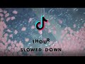 1 Hour TikTok Songs But Its Slowed Down + Reverb