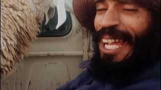 بوخشبة جاب فان الڨرطوع وراهو مروح