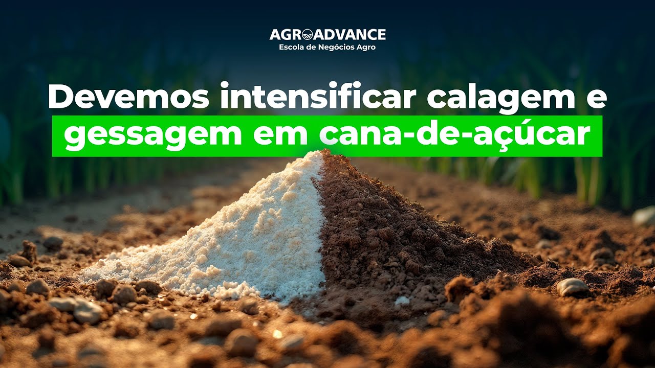 Critérios para definição da necessidade de calagem e gessagem em cana - Prof. Rafael Otto