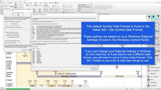 Custom Date Format - Milestones Professional Tutorial