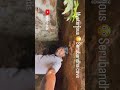 Mysterious 😮 cave || Wait for the end