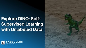 Explore DINO Self-Supervised Learning Model: Revolutionizing AI Training on Unlabeled Data
