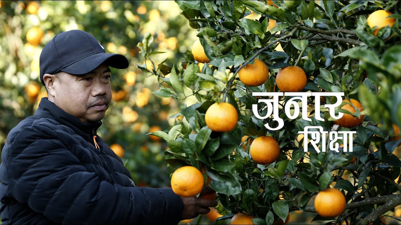 "जसले चलाए एक विद्यार्थी एक जुनार अभियान"  शिक्षक लोक बहादुर आले मगर -Lok Bahadur Ale Magar