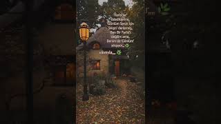 Zemheri & Ali Kınık