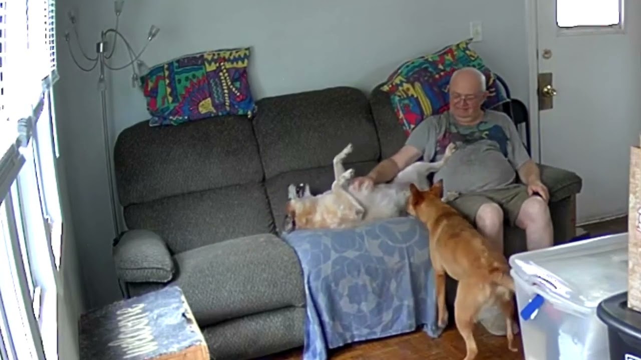 Соче сборные дома видео