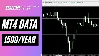 mt4 data feed low price | mt4 data feed at low price | Nifty Trading mt4 data feed low price | mt4 data feed at low price | Nifty Trading
