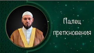 Поднятие пальца в намазе (в ташахуде) #мазхабханафи