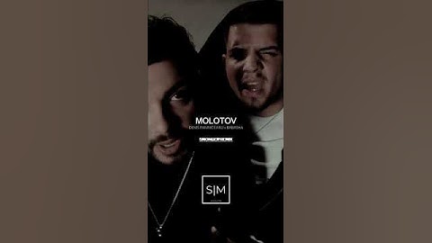 Denis Ramniceanu x BABASHA - Molotov | SmonGer Remix #remix #music #basshouse