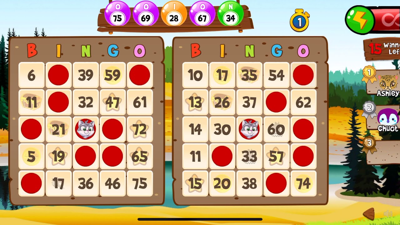 AbradoodleBingo BINGO Game 2 BINGOS IN HOT SPRINGS! YouTube