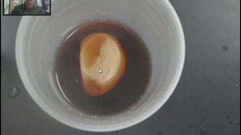 🥚Egg Osmosis Experiment - Mr Pauller