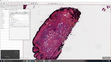 9 - Brightness, contrast & color transforms