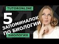 5 ЗАПОМИНАЛОК по биологии к новому учебному году | Биология