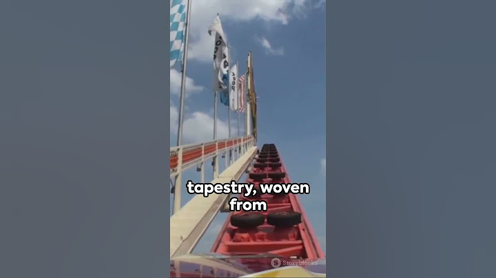 Life's Rollercoaster: A Journey of Ups and Downs