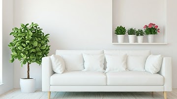 Simplify Your Life: A Beginner