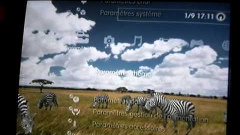 firmware 3.00 PS3 + new dynamic theme africa