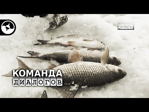Зимняя рыбалка. Вторая неделя февраля | Календарь рыболова