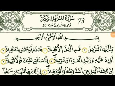 سورة المزمل بصوت القارئ الشيخ وليد النائحي 