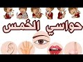 تعلم الحواس الخمس باللغة الفرنسية Les Cinq Sens 