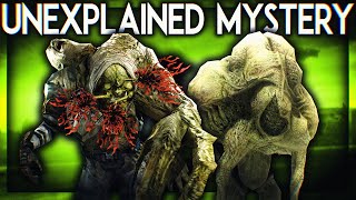 The Mystery of Halo's Strangest Unexplained Flood Outbreak