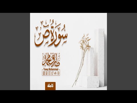 طارق محمد سورة ص