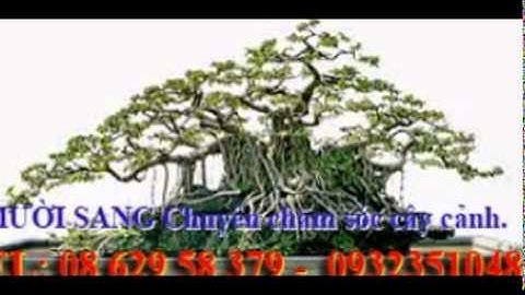 :0932351048.]] dịch vụ cắt cỏ, trồng cây xanh sân vườn quận hóc môn.tphcm