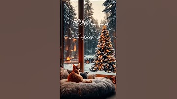 #سورة_الناس #احمد_العجمي #راحة_نفسية #قرآن #اكسبلور #foryou #pourtoi #لايك
