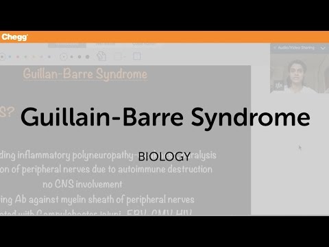 Guillain-Barre Syndrome | Biology | Chegg Tutors