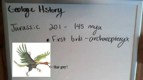 Mesozoic Era Events - Geologic Time