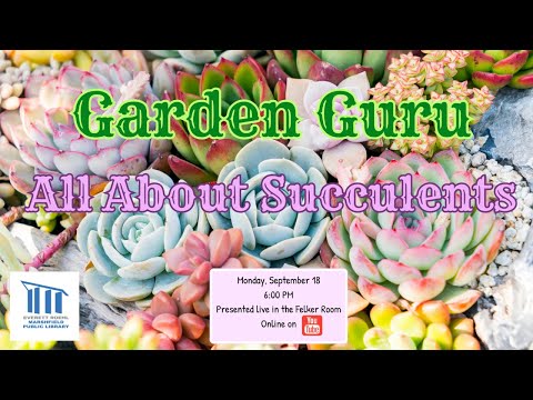 Garden Guru: All About Succulents