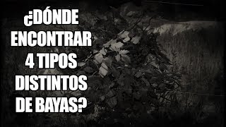 Red Dead Redemption 2 - Dónde Comer 4 Tipos De Bayas Distintas? Desafío De Herbolario Nivel 2