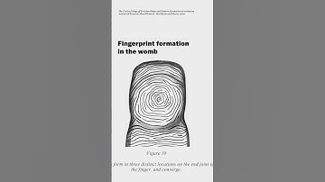 How we know fingerprints are unique #shorts