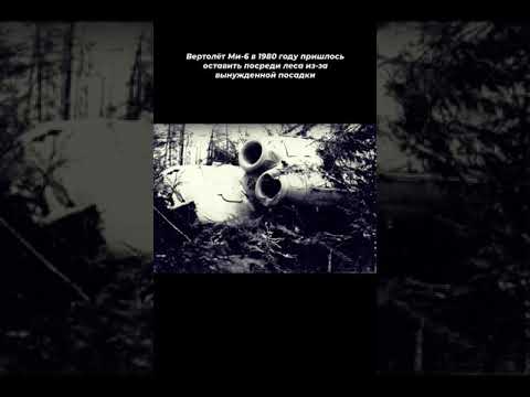 Вертолёт Ми-6 с бортовым номером в 1980 году пришлось оставить посреди леса