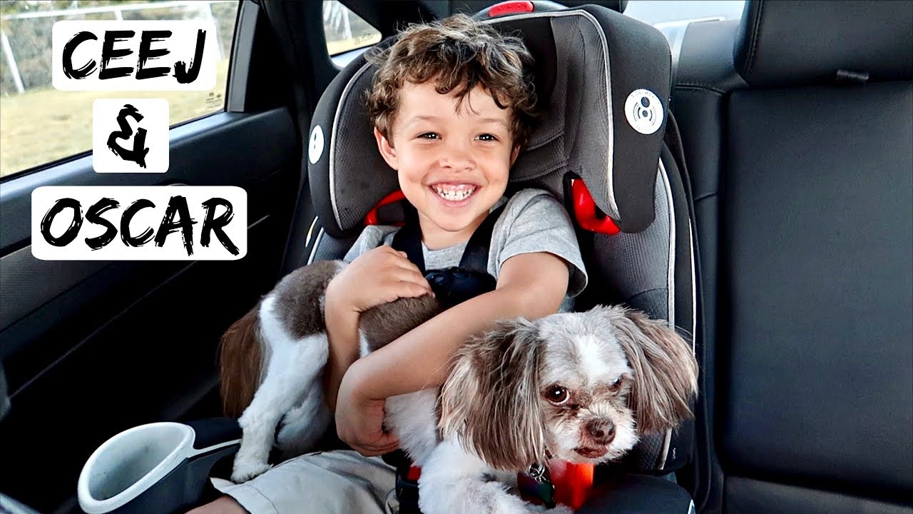 vlogs in spanish A BOY AND HIS DOG