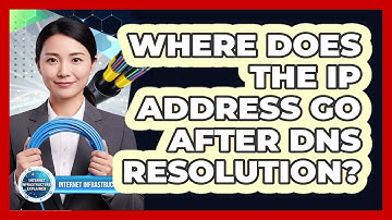 Where Does the IP Address Go After DNS Resolution?