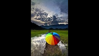 Umbrella | Wallpaper | Rain | Wallpaper for Desktop | HD Wallpaper | Rainy Day | 4K Wallpapers