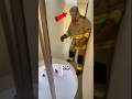 Firefighter Try Fire Pole After 30 Years 😳 #shorts #shortsfeed
